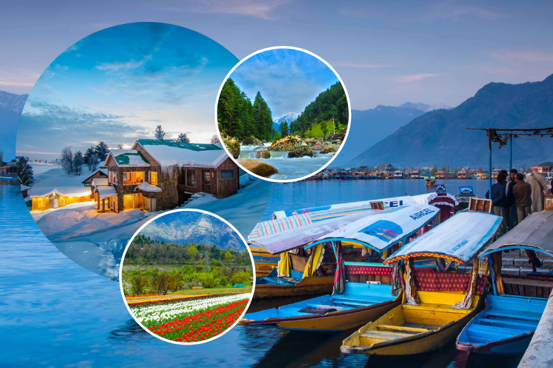 The Ultimate Flash Sale of Goa